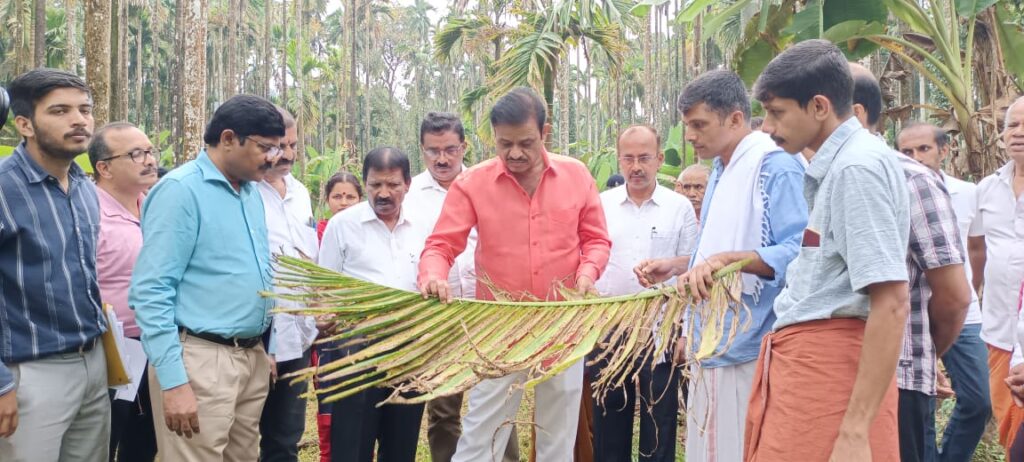 ಸುಳ್ಯ ತಾಲೋಕಿಗೆ ಭೇಟಿ ನೀಡಿದ ತೋಟಗಾರಿಕ ಸಚಿವ: ಹಳದಿ ಎಲೆ ಮತ್ತು ಎಲೆಚುಕ್ಕಿ ರೋಗ ಭಾದಿತ ತೋಟಗಳಿಗೆ ಭೇಟಿ.