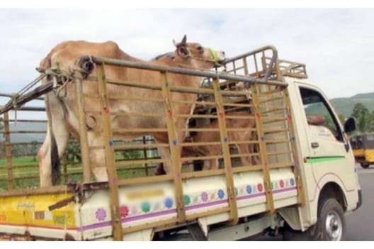 ಇನ್ಮುಂದೆ ಜಾನುವಾರು ಸಾಗಾಟಕ್ಕೆ ಆನ್‌ಲೈನ್‌ ಪರವಾನಗಿ ಕಡ್ಡಾಯ.