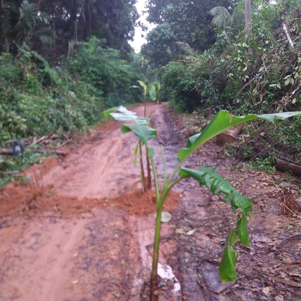 ಹದಗೆಟ್ಟ ರಸ್ತೆ.. ಬಾಳೆಗಿಡ ನೆಟ್ಟು ಆಕ್ರೋಶ ವ್ಯಕ್ತಪಡಿಸಿದ ಸ್ಥಳಿಯರು.