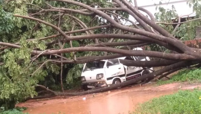 ಮಾಣಿ: ಭಾರೀ ಗಾಳಿ ಮಳೆ ಮಾರುತಿ ವ್ಯಾನ್ ಮೇಲೆ ಬಿದ್ದ ಮರ: ನಜ್ಜುಗುಜ್ಜಾದ ವ್ಯಾನ್