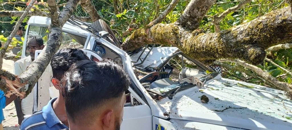 ಬಿಳಿನೆಲೆ ಕೈಕಂಬ ಜಂಕ್ಷನ್ ಪಕ್ಕ ಇರುವ    ಬೃಹದಾಕಾರದ  ಮರ    ಬಿದ್ದು ಅಂಗಡಿ ಸಂಪೂರ್ಣ ಜಖಂ.