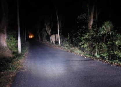 ಸುಳ್ಯ ಅರಂತೋಡಿನಲ್ಲಿ ಚಿರತೆ ಹಾವಳಿ ನಡುವೆ ಕಾಡಾನೆಯೂ ಪ್ರತ್ಯಕ್ಷ