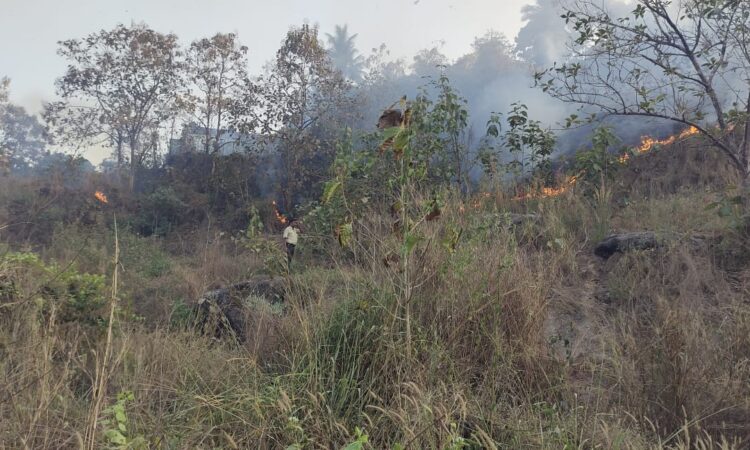 ಬಂಟ್ವಾಳ :  ಗೂಡಿನಬಳಿಯಲ್ಲಿ ಗುಡ್ಡೆಗೆ ಆಕಸ್ಮಿಕವಾಗಿ ಬೆಂಕಿ