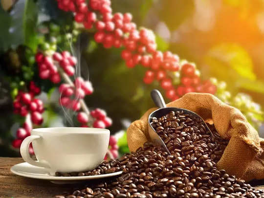 ಕಾಫಿ ರಫ್ತಿನಲ್ಲಿ ಹೊಸ ದಾಖಲೆ ನಿರ್ಮಿಸಿದ ಭಾರತ