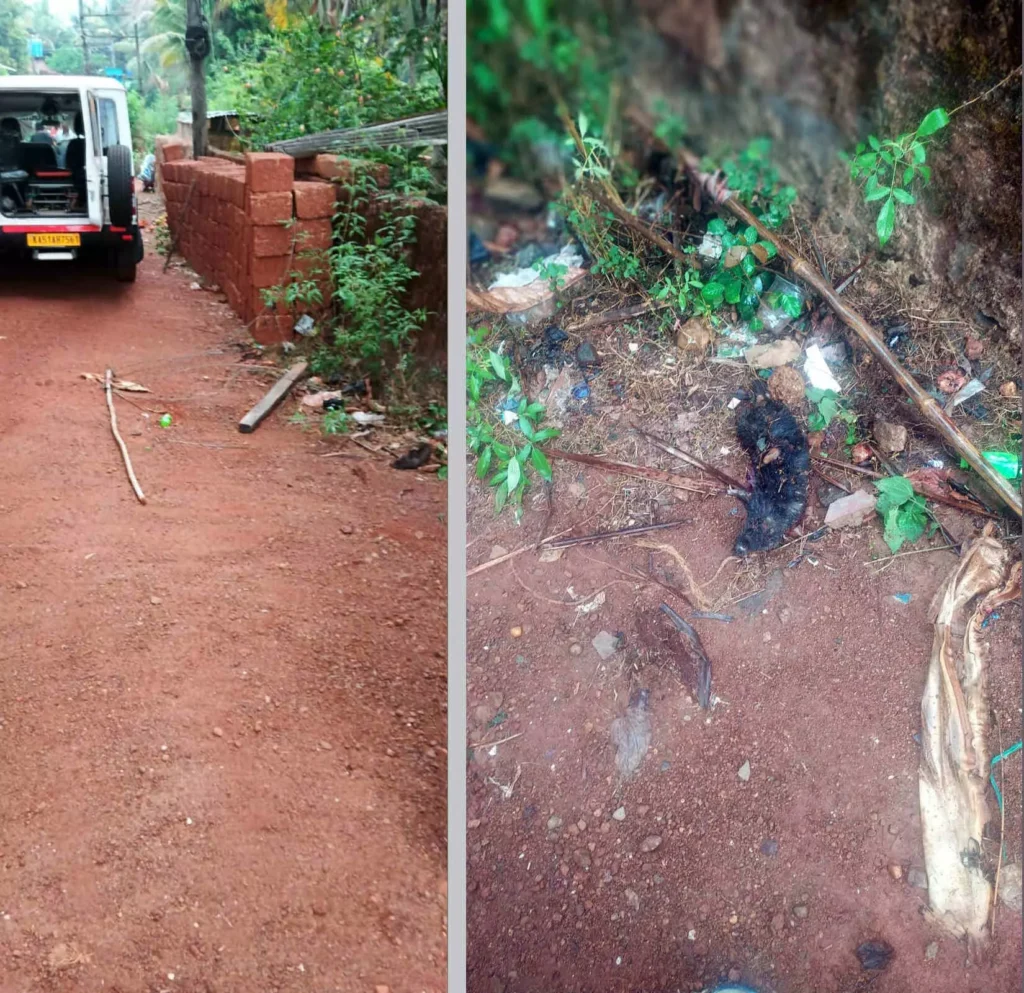 ಬೈಂದೂರು: ತುಂಡಾಗಿ ಬಿದ್ದಿದ್ದ ವಿದ್ಯುತ್ ತಂತಿ ತುಳಿದು ಮೀನುಗಾರ ಮೃತ್ಯು