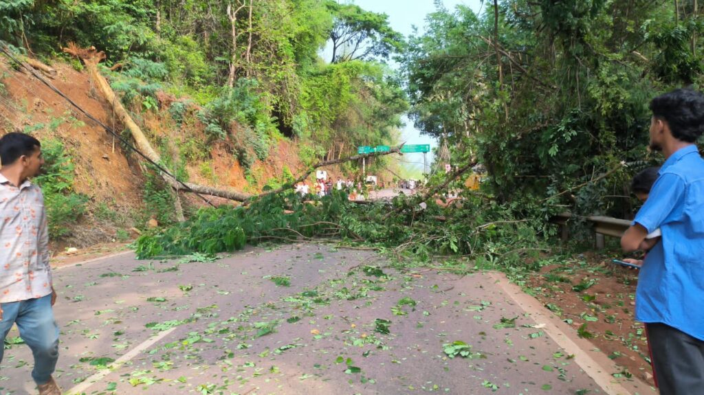 ಸುಳ್ಯದ ಪರಿವಾರಕಾನದಲ್ಲಿ ರಸ್ತೆಗೆ ಉರುಳಿಬಿದ್ದ ಮರ :ವಿದ್ಯುತ್ ಕಂಬಗಳಿಗೆ ಹಾನಿ :ಹಲವೆಡೆಗೆ ವಿದ್ಯುತ್ ಸರಬರಾಜಿನಲ್ಲಿ ವ್ಯತ್ಯಯ :ಹಲವು ಸಮಯ ರಸ್ತೆ ಬ್ಲಾಕ್