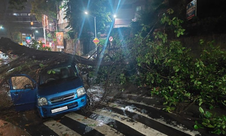 ಮಂಗಳೂರು: ಮಳೆಗೆ ಧರೆಗುರುಳಿದ ಮರ-ಎರಡು ವಾಹನಗಳಿಗೆ ಹಾನಿ