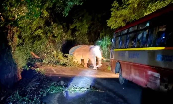 ಚಾರ್ಮಾಡಿ ಘಾಟಿಯಲ್ಲಿ ಆನೆ ಪ್ರತ್ಯಕ್ಷ | ಟ್ರಾಫಿಕ್ ಜಾಮ್ .