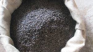 700 ರ ಅಂಚಿನಲ್ಲಿ ಕಾಳು ಮೆಣಸು ದರ : ರೈತರ ಮುಖದಲ್ಲಿ ಮಂದಹಾಸ: