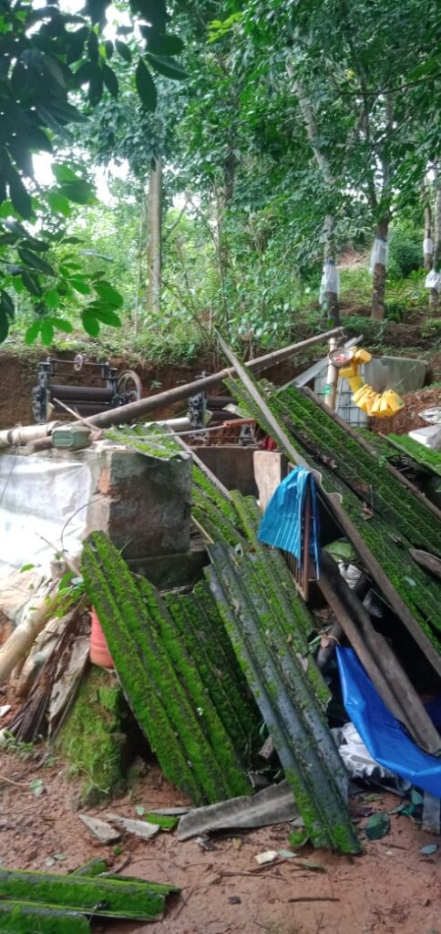 ಚೆಂಬು ಪಂಚಾಯತ್ ವ್ಯಾಪ್ತಿಯಲ್ಲಿ ಆನೆ ಹಾವಳಿ: ತೋಟಗಳಿಗೆ ನುಗ್ಗಿ ಅಪಾರ ಕೃಷಿ ನಾಶ:ರಬ್ಬರ್  ಶೆಡ್ ದ್ವಂಸ :ದಾಳಿಯ ವೇಳೆ ಓಡಿ ಜೀವ ಉಳಿಸಿಕೊಂಡ ಕೃಷಿಕ