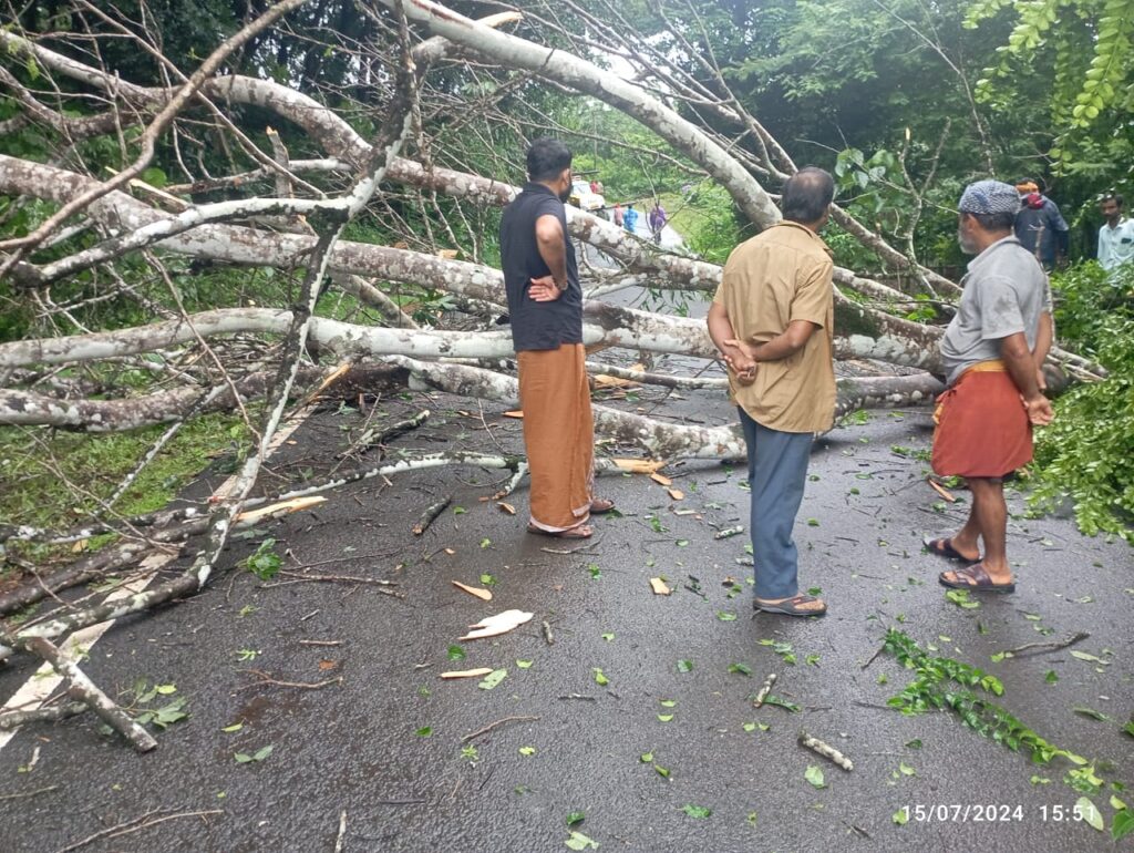 ಉಬರಡ್ಕ ಕುತ್ತಮೊಟ್ಟೆಯಲ್ಲಿ ಮರ ಬಿದ್ದು ರಸ್ತೆ ಬ್ಲಾಕ್ :