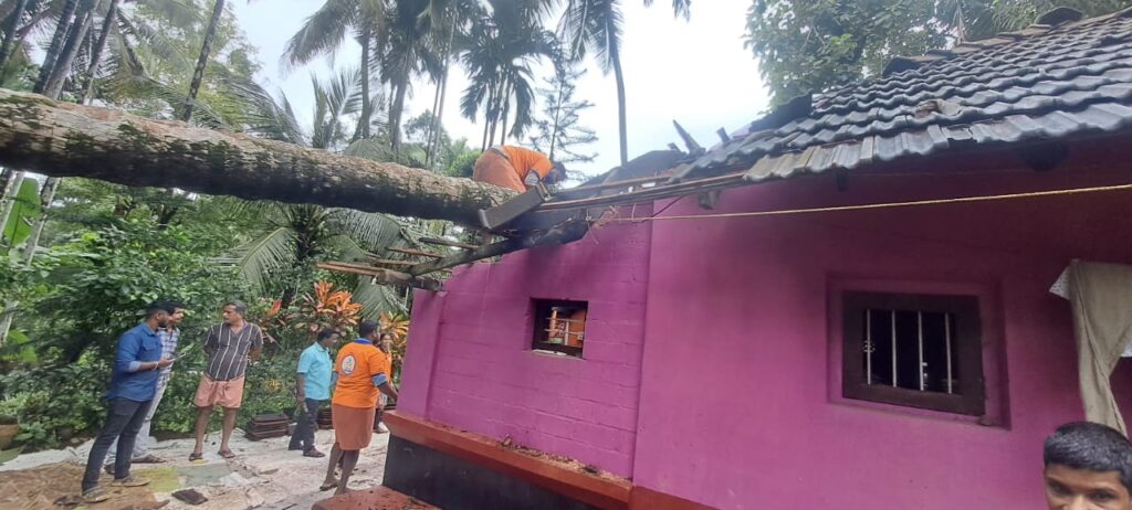 ತೆಂಗಿನ ಮರ ಬಿದ್ದು ಹಾನಿ, ಪರಹಾರಕ್ಕೆ ಧಾವಿಸಿ ಬಂದ ಶೌರ್ಯ ವಿಪತ್ತು ತಂಡ