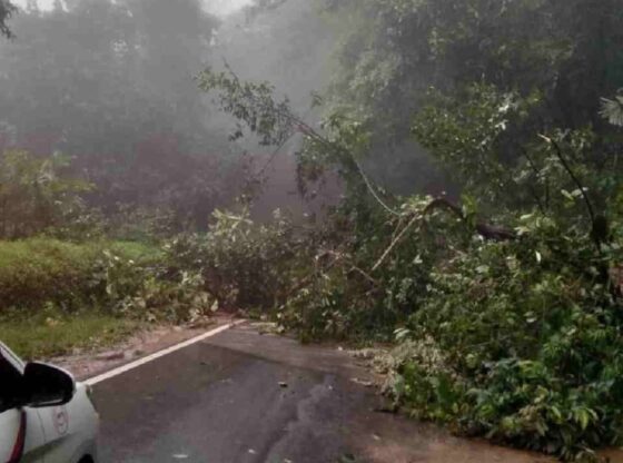 ಚಾರ್ಮಾಡಿ ಘಾಟ್  ಮತ್ತೆ ಗುಡ್ಡ ಕುಸಿತ, ರಸ್ತೆ ಸಂಚಾರ ಬಂದ್!