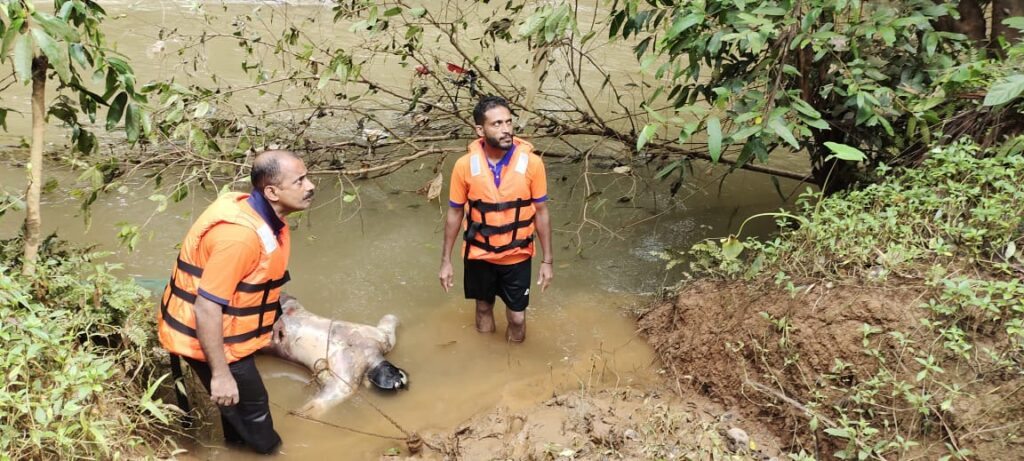 ಬಳ್ಪ ನಾಪತ್ತೆಯಾಗಿದ್ದ ಯುವಕ ಶವವಾಗಿ ಹೊಳೆಯಲ್ಲಿ ಪತ್ತೆ.