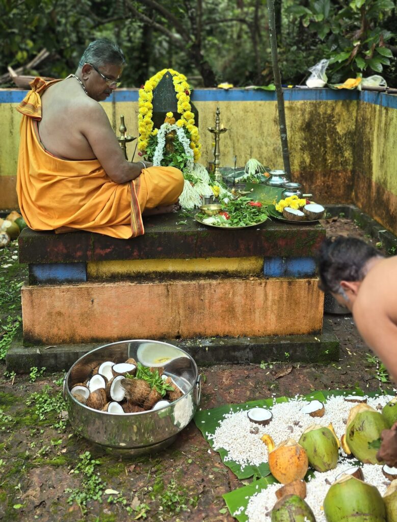 ದಕ್ಷಿಣ ಕನ್ನಡ ಜಿಲ್ಲೆಯಾದ್ಯಂತ ಭಕ್ತಿ ಭಾವದ ನಾಗರ ಪಂಚಮಿ ಆಚರಣೆ- ನಾಗರಕಟ್ಟೆಗಳಲ್ಲಿ ಭಕ್ತರ ದಂಡು: ನಾಗ ಕಲ್ಲಿಗೆ ಕ್ಷೀರಾಭಿಷೇಕ.