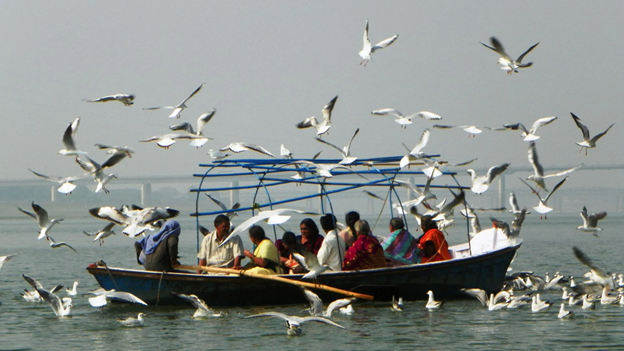 ಪರದೇಶದಿಂದ ಮಹಾಕುಂಭಕ್ಕೆ ವಲಸೆ ಬಂದ ಹಕ್ಕಿಗಳ ಹಿಂಡು; ಅಂತರಾಷ್ಟ್ರೀಯ ಪಕ್ಷಿ ಉತ್ಸವಕ್ಕೆ ಸಜ್ಜಾಗುತ್ತಿದೆ ಪ್ರಯಾಗ್‌ರಾಜ್