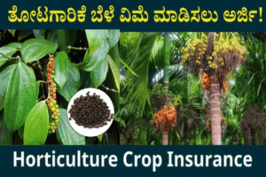 ದಕ್ಷಿಣ ಕನ್ನಡ ಜಿಲ್ಲೆ: 2025-26ನೇ ಸಾಲಿನ ಹವಾಮಾನ ಆಧಾರಿತ ಬೆಳೆ ವಿಮೆ ಯೋಜನೆಗೆ ನೋಂದಣಿ ಪ್ರಾರಂಭ