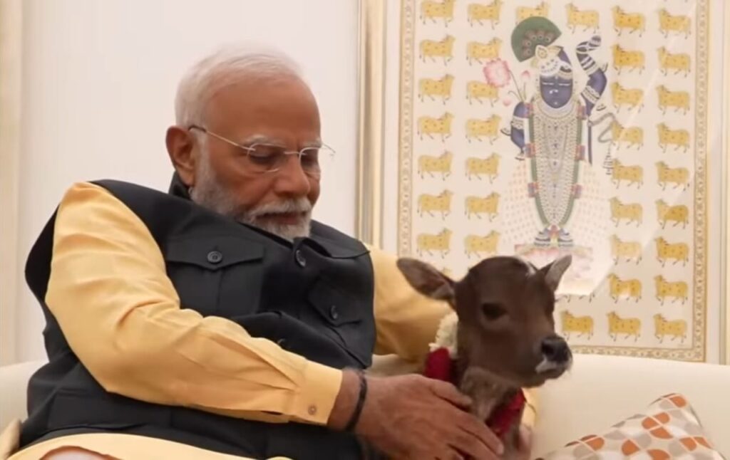 ಗೋವುಗಳನ್ನು ಪ್ರಾಣಿಯೆಂದು ಪರಿಗಣಿಸದ ಪ್ರಾಣಿ ಪ್ರೇಮಿಗಳು ಕೂಡ ಇದ್ದಾರೆ – ಪ್ರಧಾನಿ ಮೋದಿ