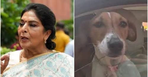 ಸಂಸತ್ತಿನ ಆವರಣದಲ್ಲಿ ನಾಯಿ ವಿವಾದ: ನಾಯಿ ತಂದು ವಿವಾದಕ್ಕೀಡಾದ ಸಂಸದೆ ರೇಣುಕಾ ಚೌಧರಿ